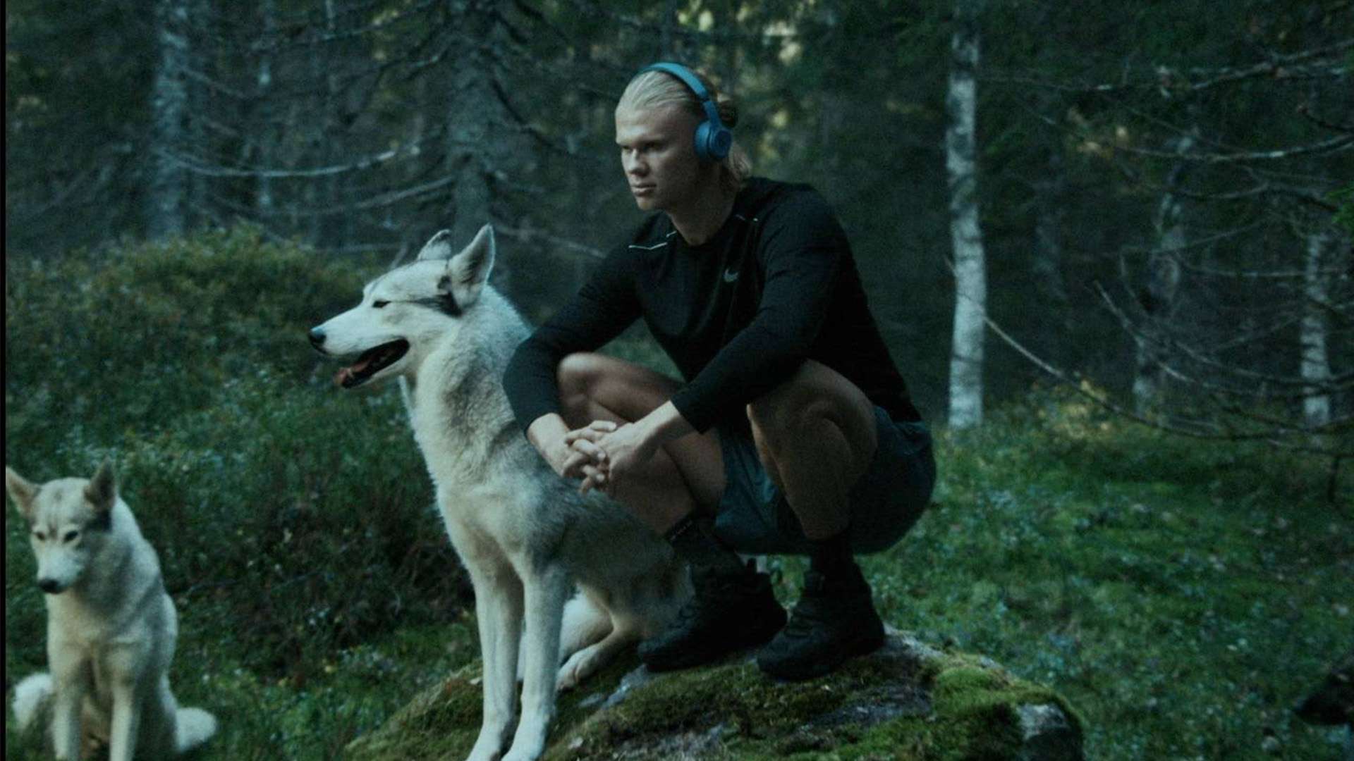 现将被不断 现将被不断