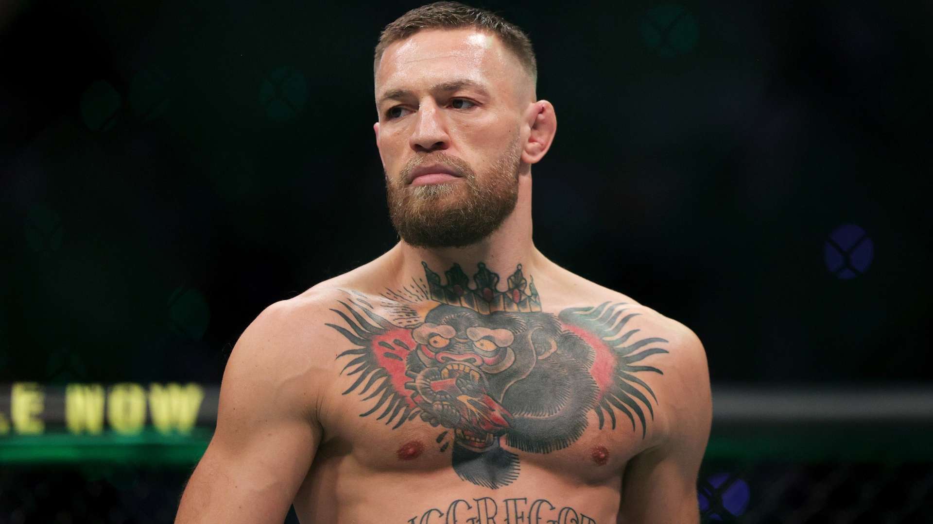 米尔顿凯恩斯迎战蓝狐前瞻分析全方位解读双方实力与战术布置